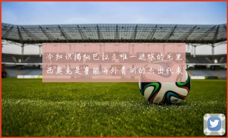 冷知识揭秘巴拉圭唯一进球的毛里西奥竟是鲁能海外青训的杰出代表