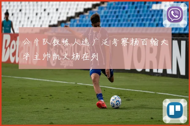 公牛队教练人选广泛考察杨百翰大学主帅凯文杨在列